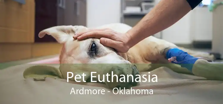 Pet Euthanasia Ardmore - Oklahoma