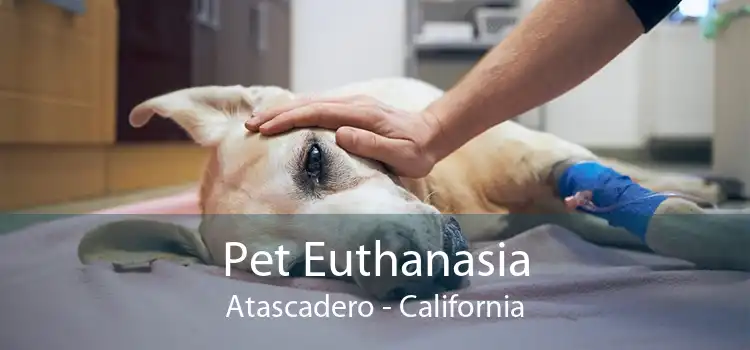 Pet Euthanasia Atascadero - California