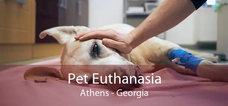 Pet Euthanasia Athens - Georgia