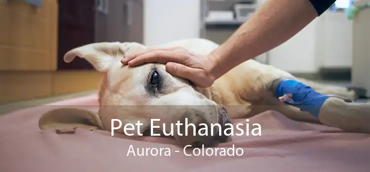 Pet Euthanasia Aurora - Colorado