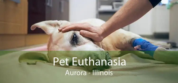 Pet Euthanasia Aurora - Illinois