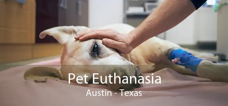 Pet Euthanasia Austin - Texas