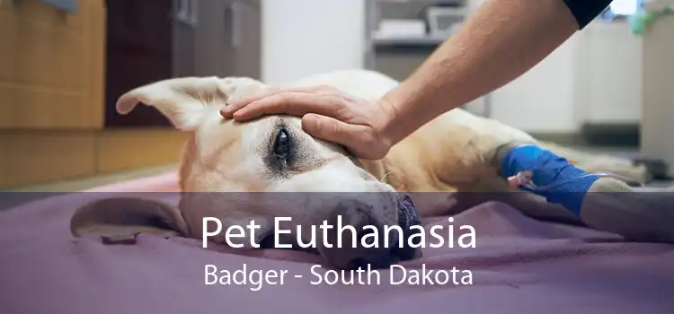 Pet Euthanasia Badger - South Dakota