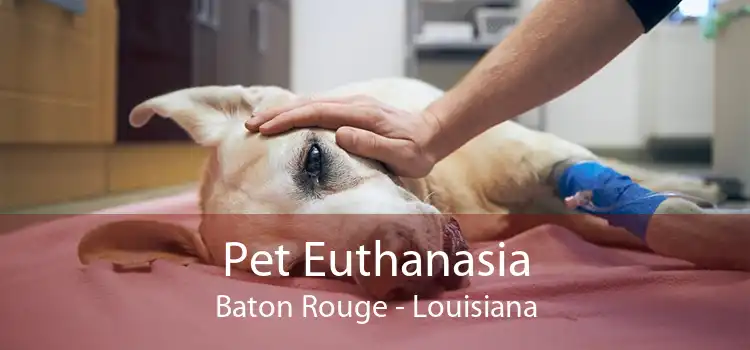 Pet Euthanasia Baton Rouge - Louisiana