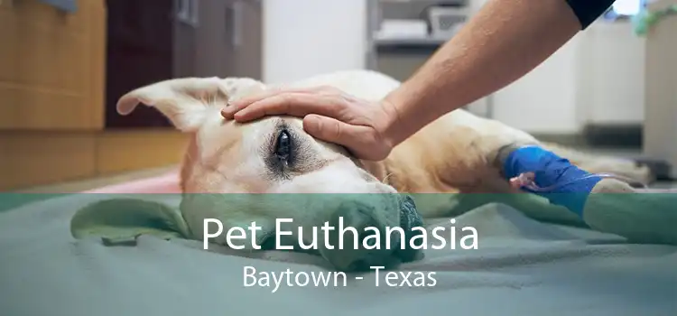 Pet Euthanasia Baytown - Texas