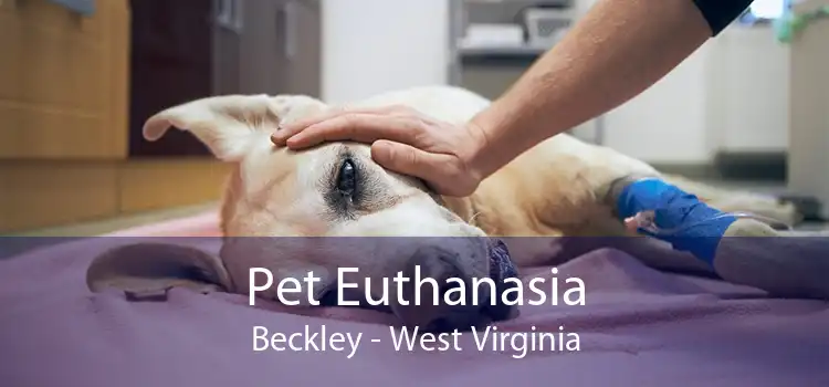 Pet Euthanasia Beckley - West Virginia