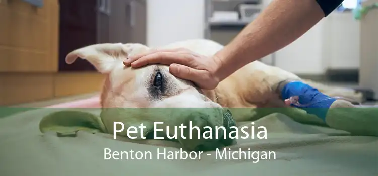 Pet Euthanasia Benton Harbor - Michigan
