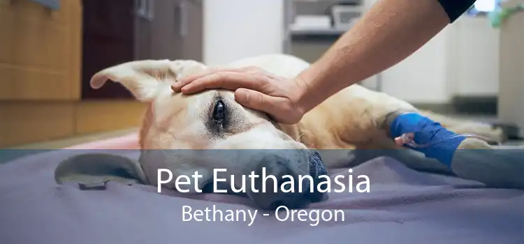 Pet Euthanasia Bethany - Oregon