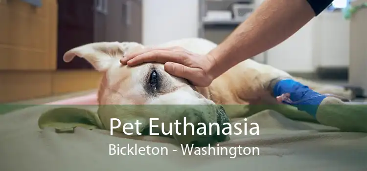 Pet Euthanasia Bickleton - Washington