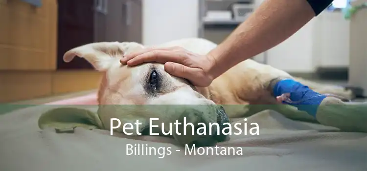 Pet Euthanasia Billings - Montana
