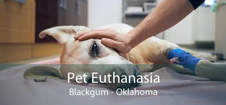 Pet Euthanasia Blackgum - Oklahoma