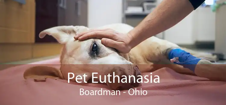 Pet Euthanasia Boardman - Ohio