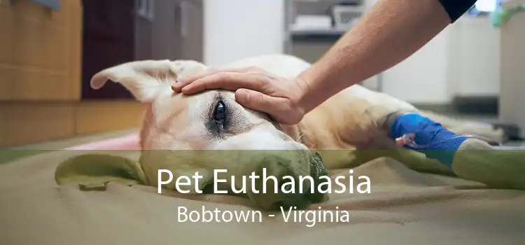 Pet Euthanasia Bobtown - Virginia