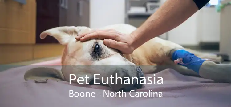 Pet Euthanasia Boone - North Carolina