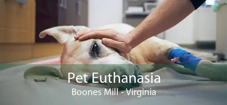Pet Euthanasia Boones Mill - Virginia