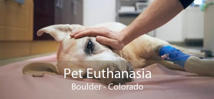 Pet Euthanasia Boulder - Colorado