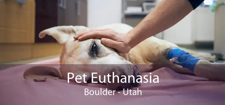 Pet Euthanasia Boulder - Utah