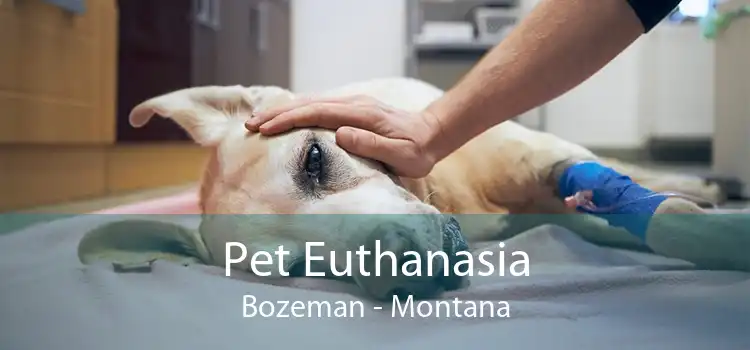 Pet Euthanasia Bozeman - Montana