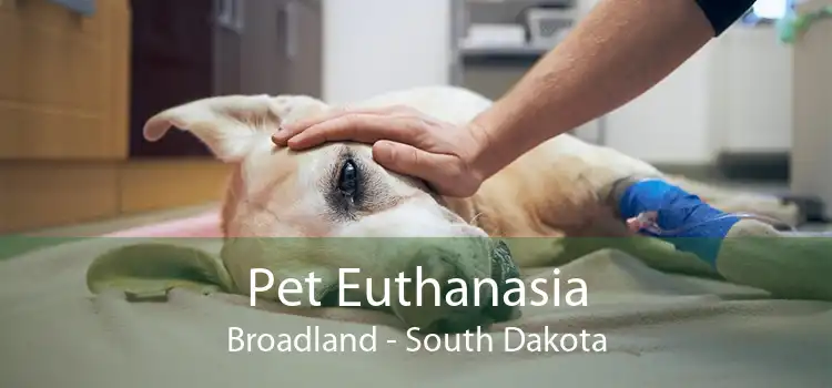 Pet Euthanasia Broadland - South Dakota