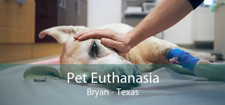 Pet Euthanasia Bryan - Texas