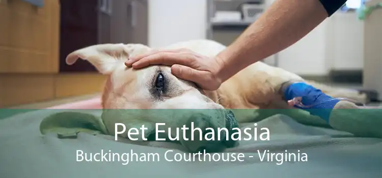 Pet Euthanasia Buckingham Courthouse - Virginia