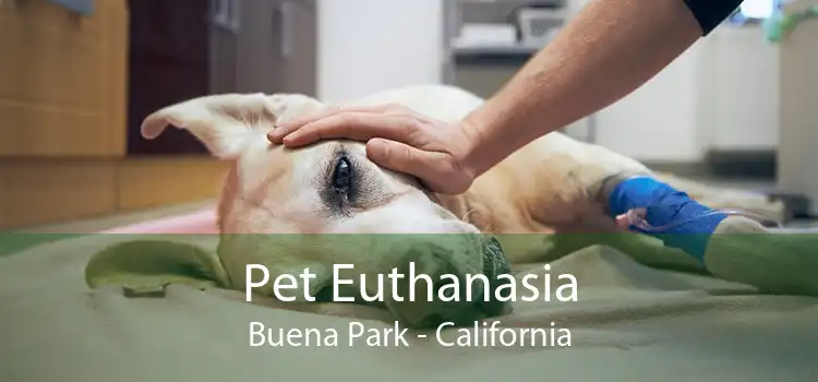 Pet Euthanasia Buena Park - California