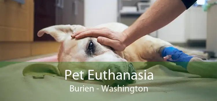 Pet Euthanasia Burien - Washington