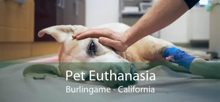 Pet Euthanasia Burlingame - California