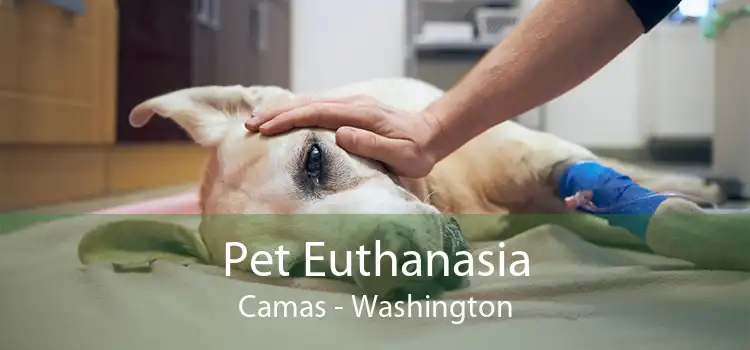 Pet Euthanasia Camas - Washington