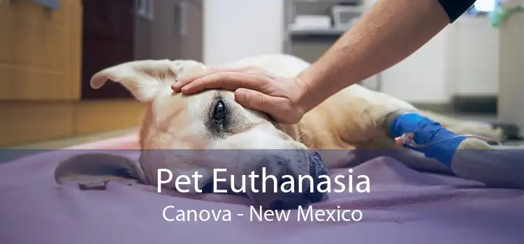 Pet Euthanasia Canova - New Mexico