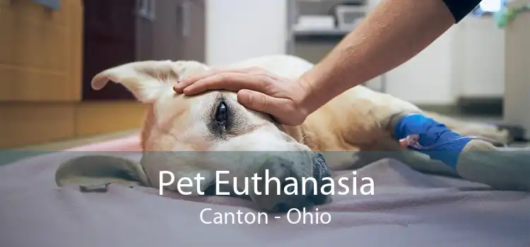 Pet Euthanasia Canton - Ohio