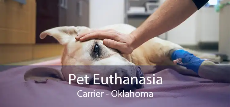 Pet Euthanasia Carrier - Oklahoma