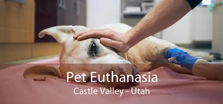 Pet Euthanasia Castle Valley - Utah