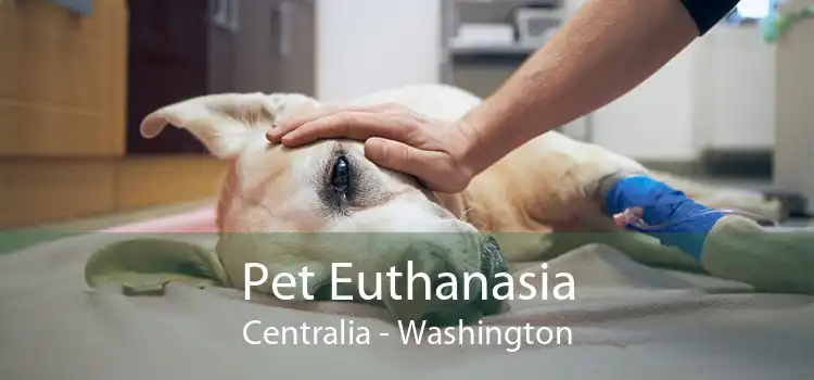 Pet Euthanasia Centralia - Washington