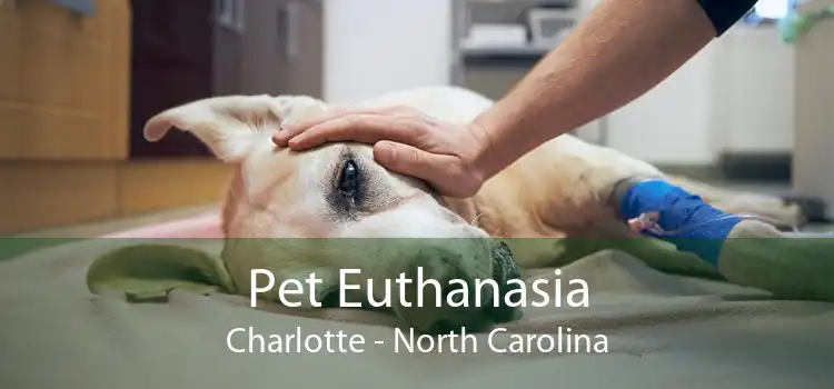 Pet Euthanasia Charlotte - North Carolina