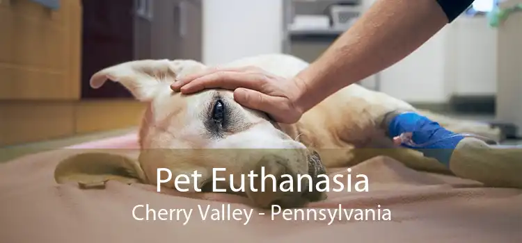 Pet Euthanasia Cherry Valley - Pennsylvania