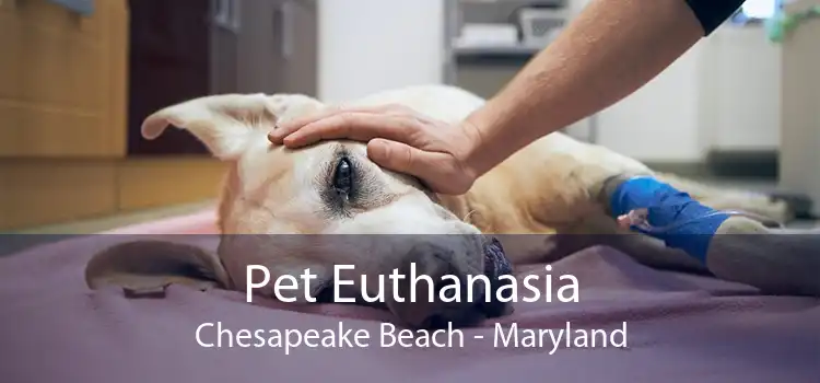 Pet Euthanasia Chesapeake Beach - Maryland