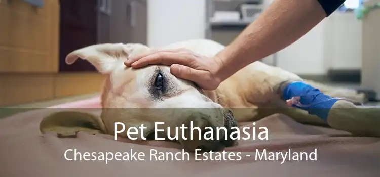 Pet Euthanasia Chesapeake Ranch Estates - Maryland