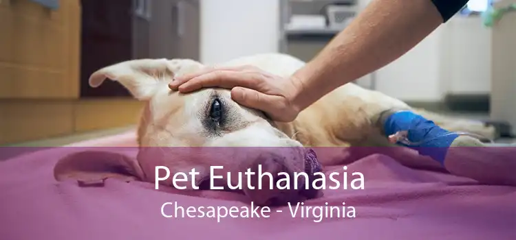 Pet Euthanasia Chesapeake - Virginia