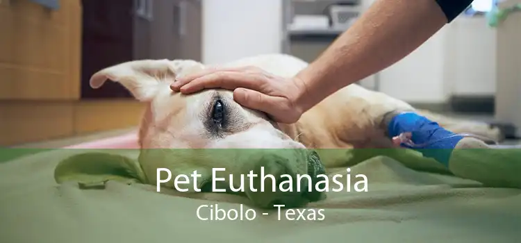 Pet Euthanasia Cibolo - Texas