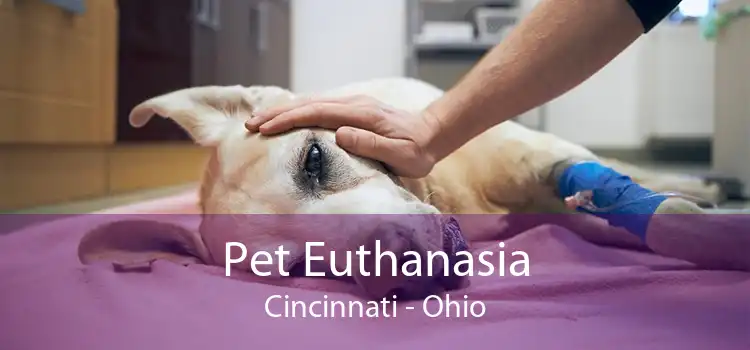 Pet Euthanasia Cincinnati - Ohio