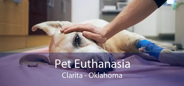 Pet Euthanasia Clarita - Oklahoma