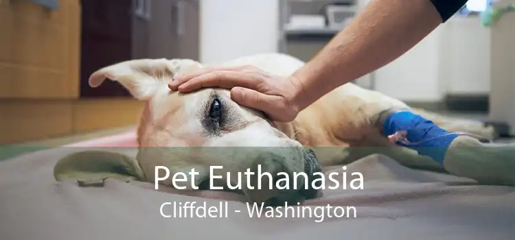 Pet Euthanasia Cliffdell - Washington