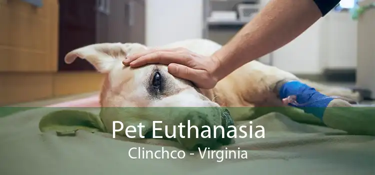 Pet Euthanasia Clinchco - Virginia