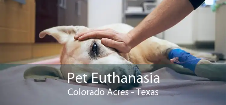 Pet Euthanasia Colorado Acres - Texas