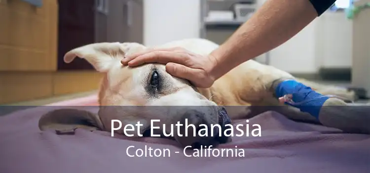 Pet Euthanasia Colton - California