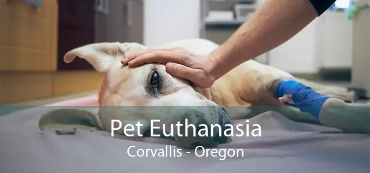 Pet Euthanasia Corvallis - Oregon