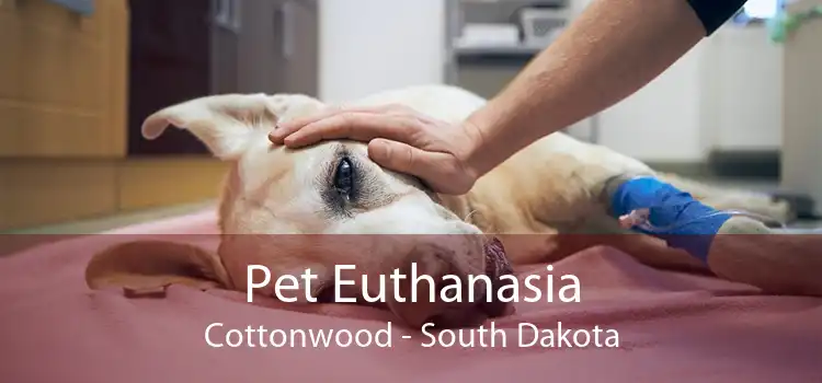 Pet Euthanasia Cottonwood - South Dakota