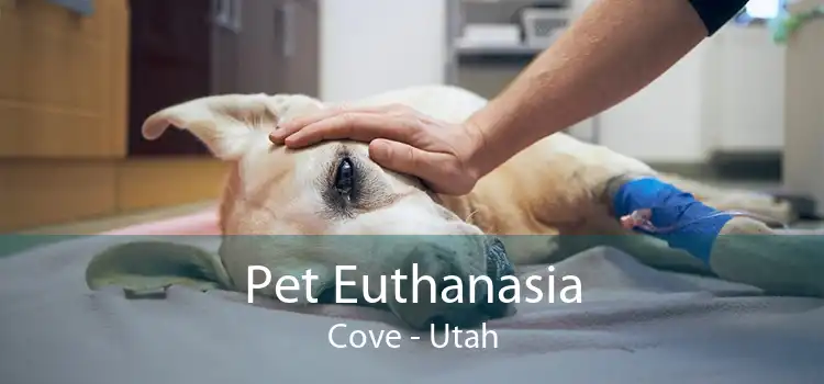 Pet Euthanasia Cove - Utah