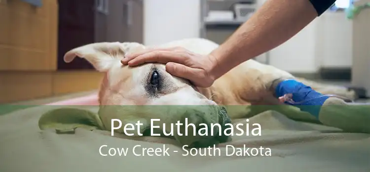 Pet Euthanasia Cow Creek - South Dakota